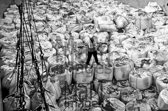 havenwerkers-dockers